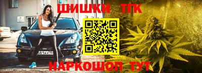 гидра Малгобек